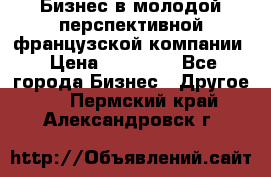 Бизнес в молодой перспективной французской компании › Цена ­ 30 000 - Все города Бизнес » Другое   . Пермский край,Александровск г.